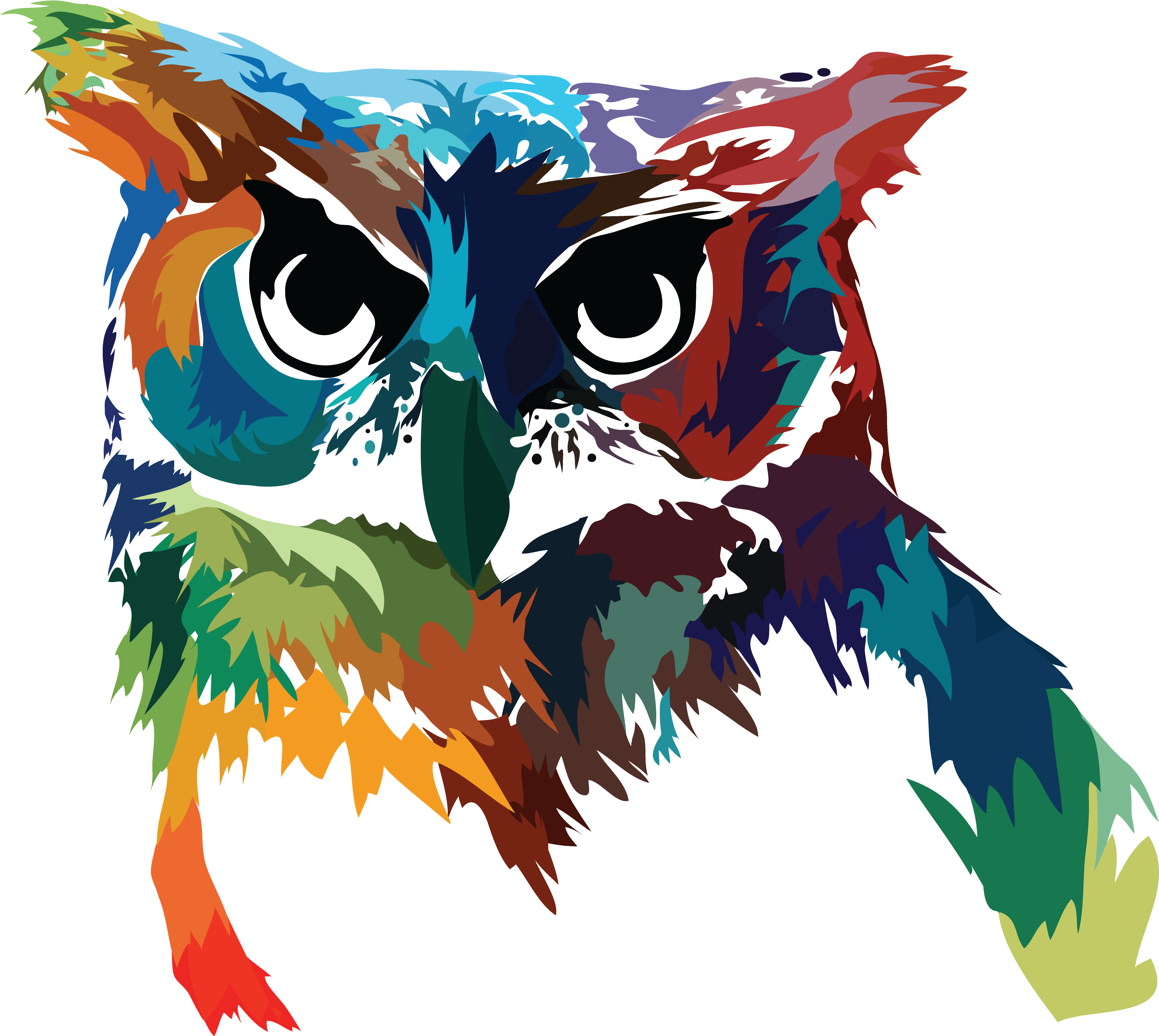 Psychedelic Owl By Animal Creations - Owl (4500x5400)