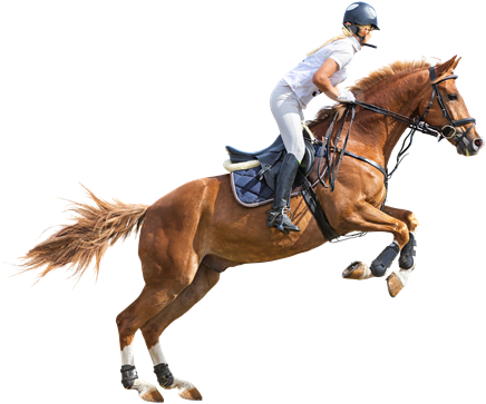 Download Png Image Report - Polo Horse Png (600x400)