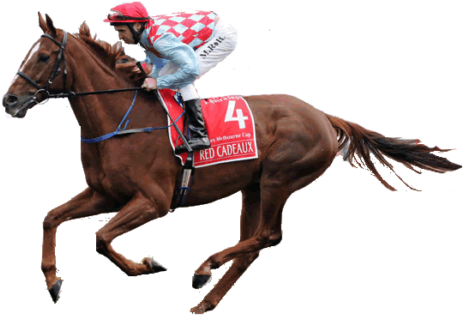 Have You At Any Point Ceased To Ask Why You Have Not - Melbourne Cup Horse Transparent (600x429)