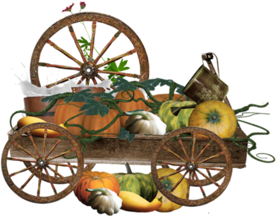 Pumpkins In Carriages - Cobb And Co Coaches (650x533)