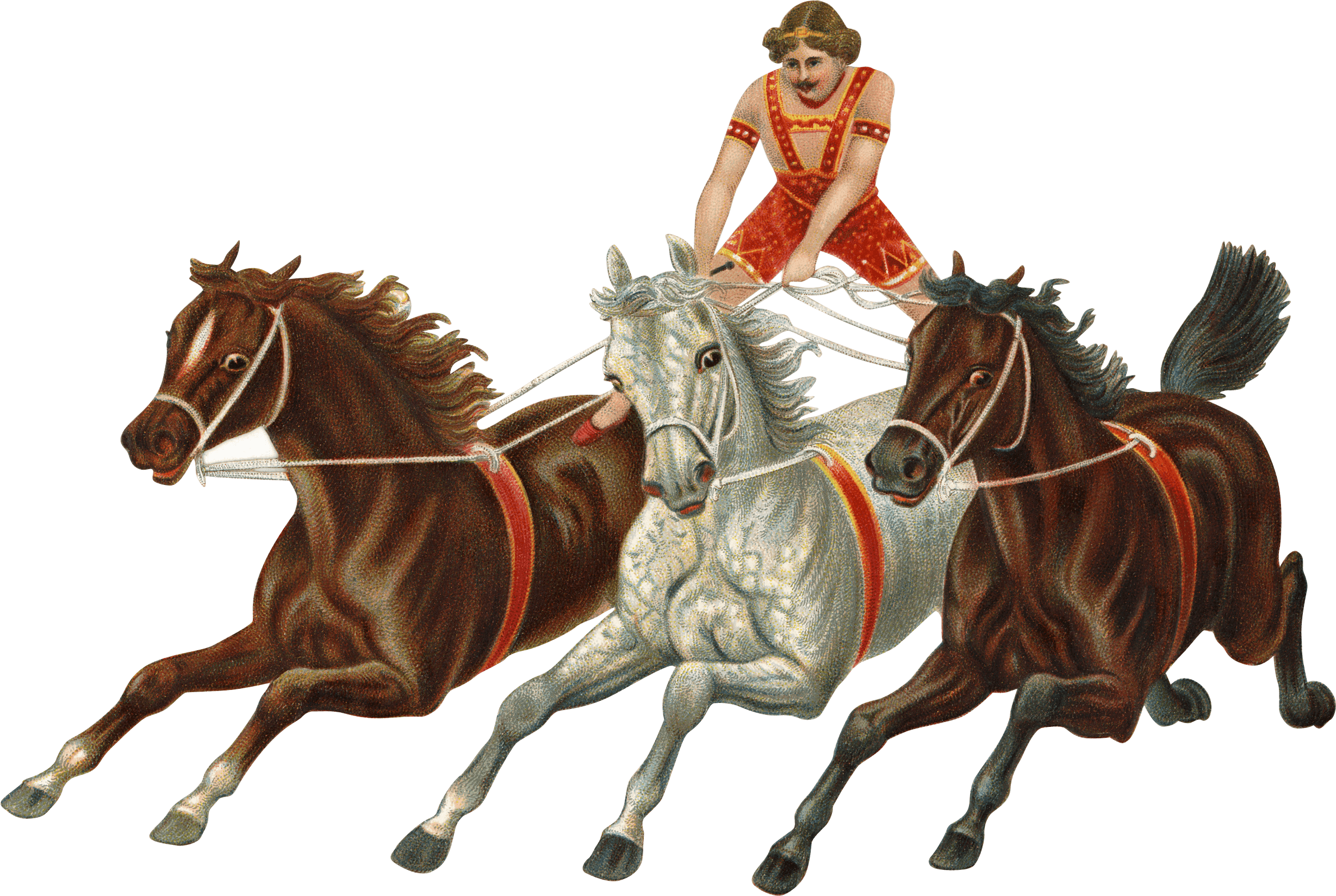 Victorian Vintage Horses Carriage Png - Victorian Circus Png (2457x1648)