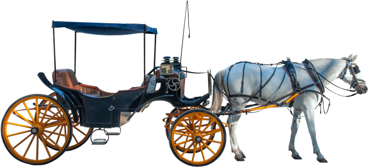 Horse And Buggy Carriage Horse-drawn Vehicle - Horse Cartpng (1371x582)