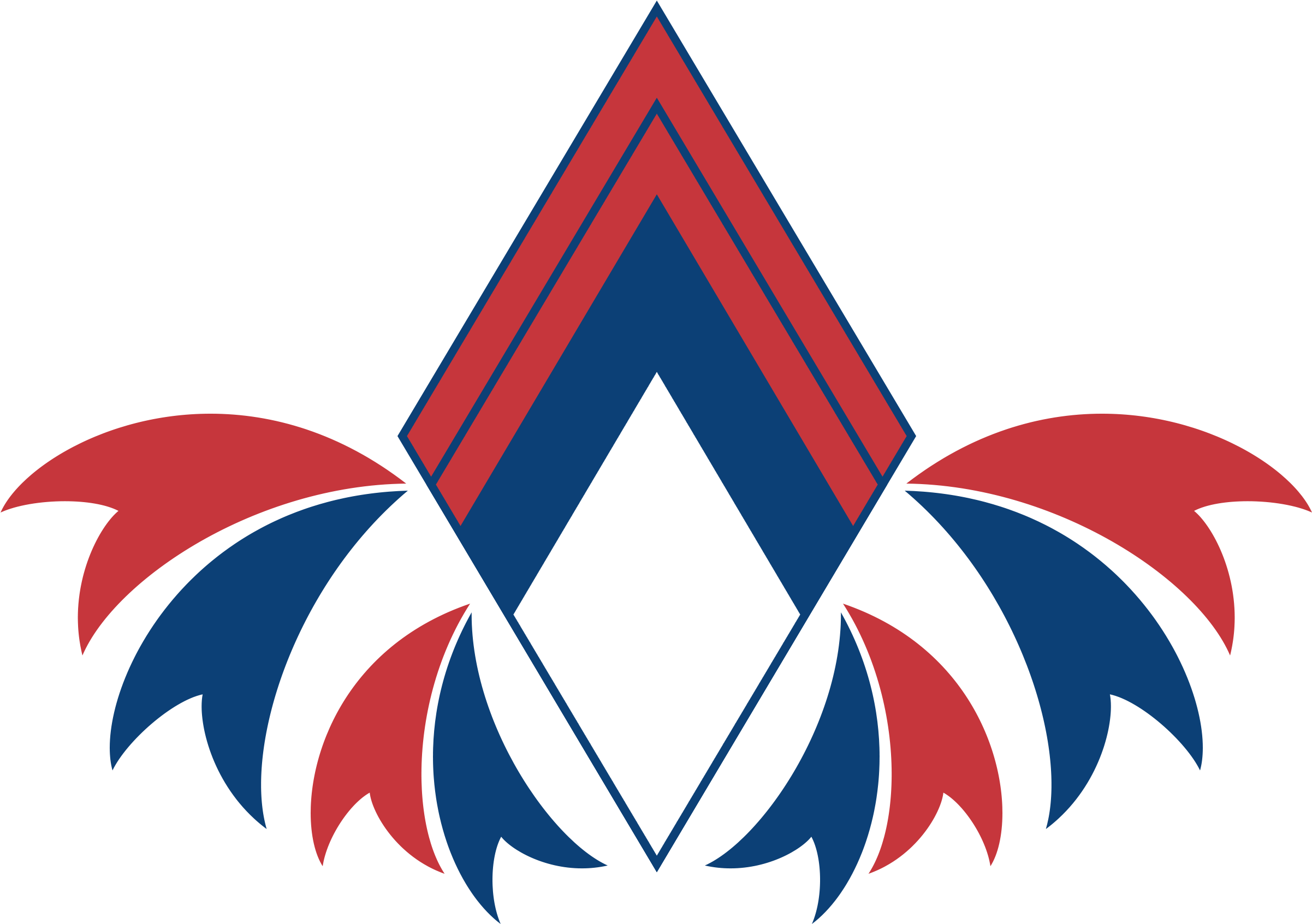 Kingdom Of Soarbia Emblem By Snowcat93 Kingdom Of Soarbia - Technology Safety (2409x1732)