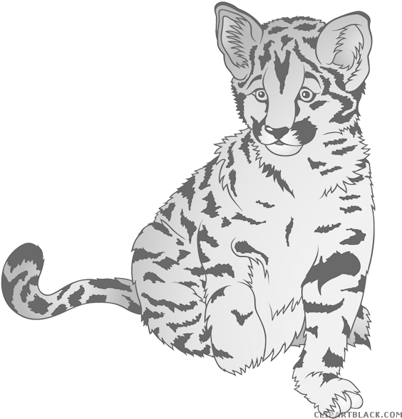 Baby Tiger Animal Free Black White Clipart Images Clipartblack - Leopard Cartoon (600x600)
