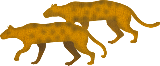 Two Of Every Species - Species (550x236)