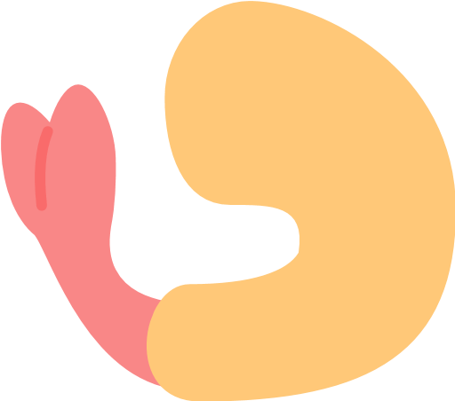 Fried Shrimp Emoji - Shrimp Emoji (512x512)