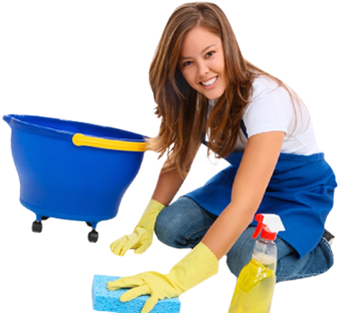 Cleaning Lady Png - Cleaning Services (741x347)