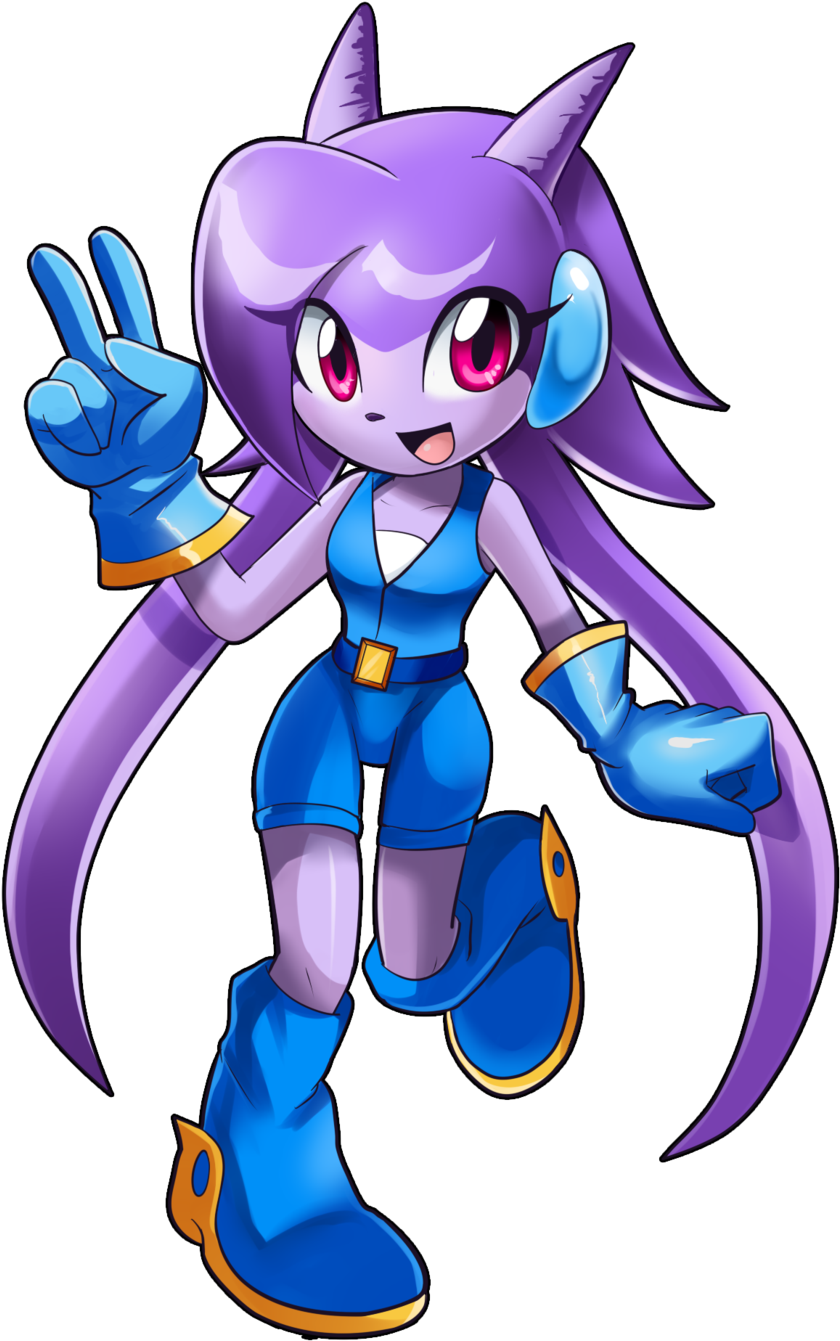 Freedom Planet Images Lilac The Dragon Girl Hd Wallpaper - Sash Lilac Freedom Planet (900x1379)