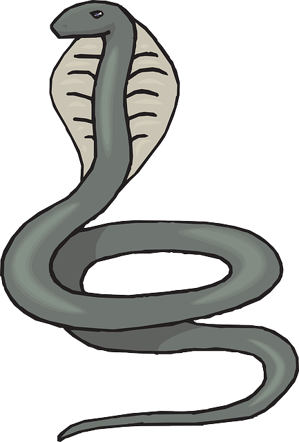 Gray Cobra Clip Art - Cobra Clipart (500x738)