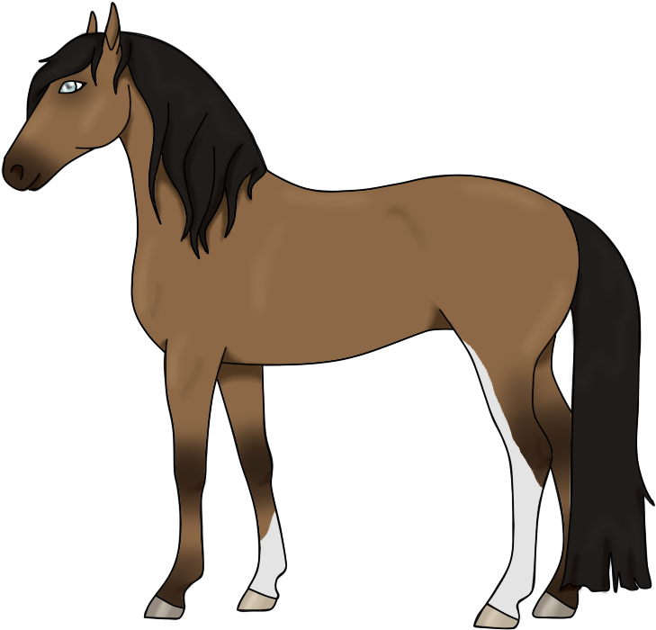 Mane Mustang Foal Stallion Colt - Sorrel (900x742)