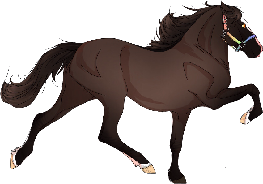 Mare Colour - Strawberry Roan Appaloosa (900x600)