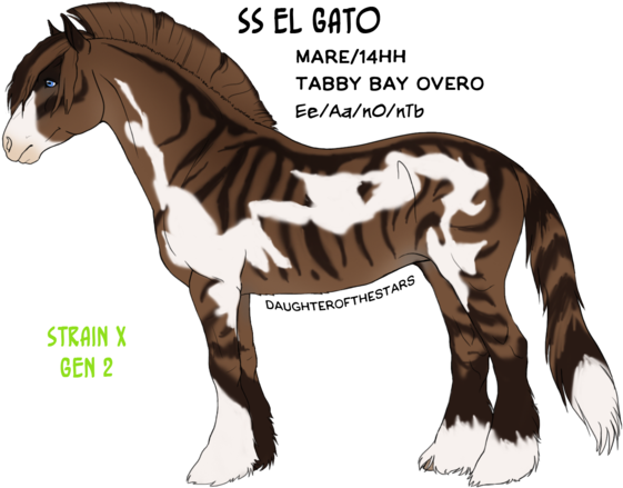 Tabitha By Daughterofthestars - Stallion (600x480)