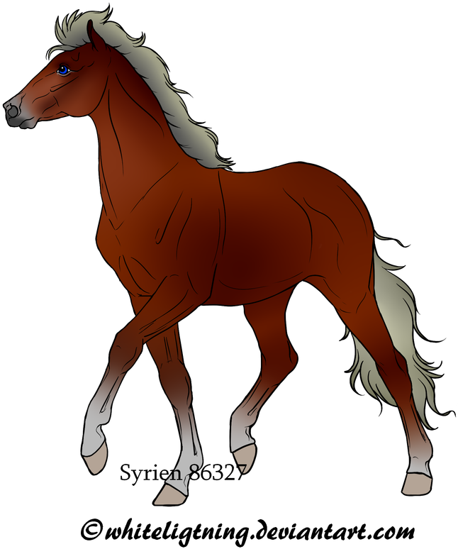 Spice Is A 3 Month Old Shetland Pony Who Loves To Eat - Sorrel (698x800)