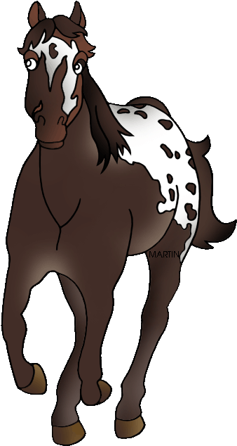 Mare Clipart Animal - Appaloosa Clipart (404x648)