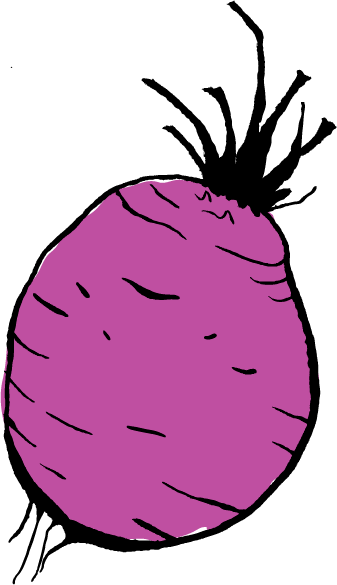 Beetroot - Root Vegetable (337x585)