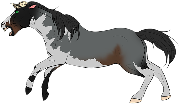 I Have A Lot O - Stallion (600x364)
