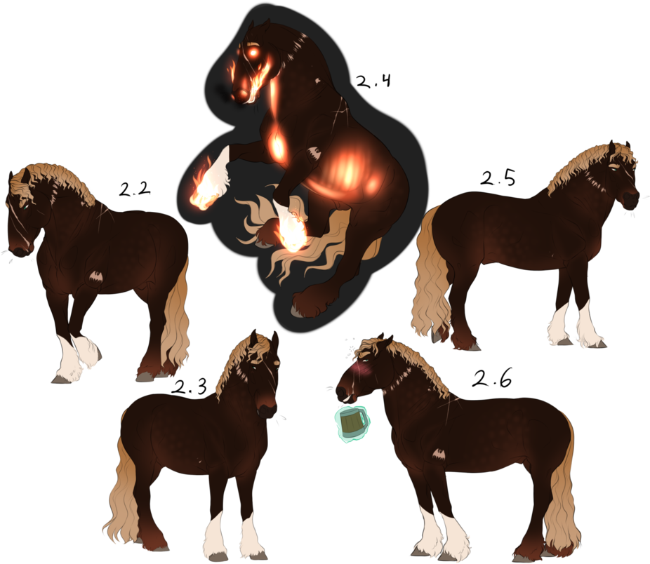 Omar - Shetland Pony (955x836)