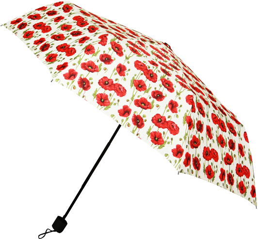 Poppy Umbrella Transparent Background Clothing And - Umbrella Transparent Background (602x500)