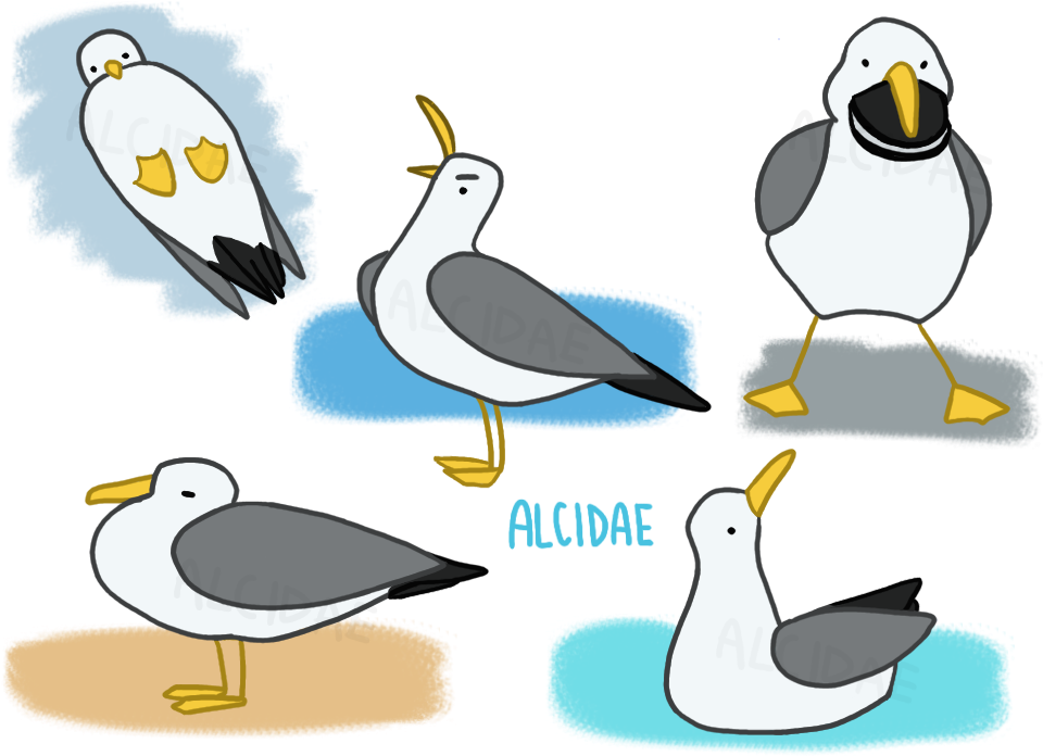Seagull Time By Alcidae - Cartoon (1024x768)