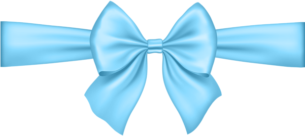 Blue Cheer Bow Clipart For Kids - Blue Bow Png (600x276)