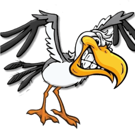 Cartoon Seagull Flying (512x512)