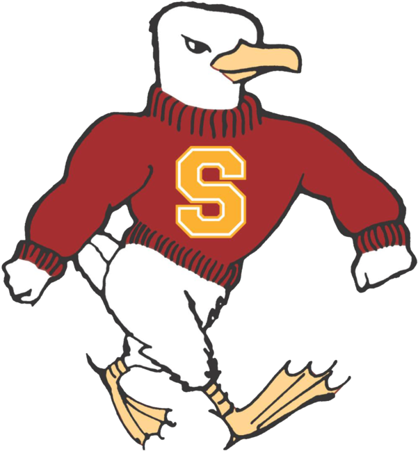 Sea Gulls - Salisbury University Seagull (720x720)