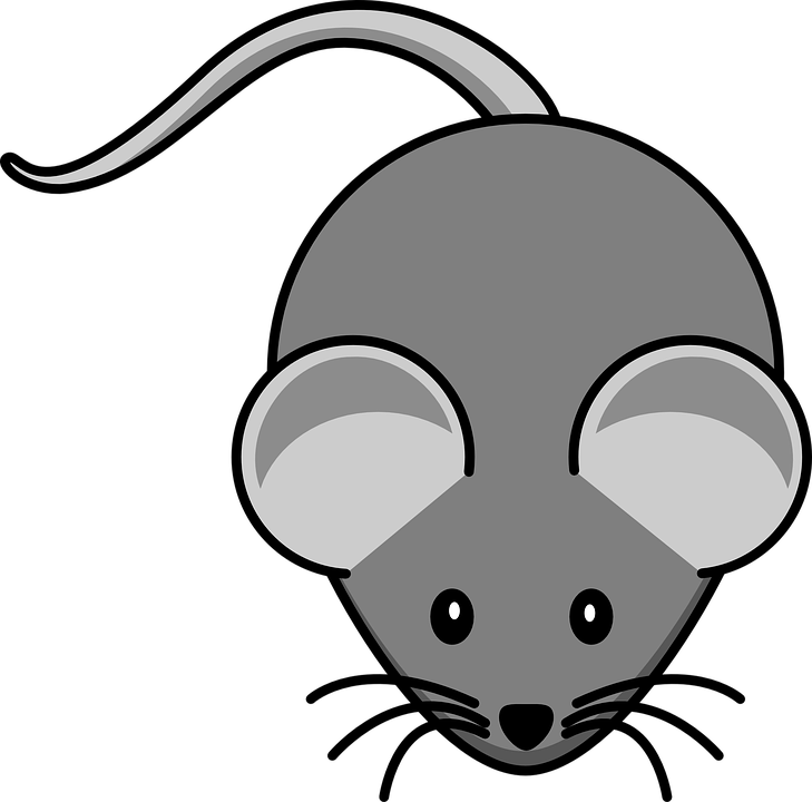 Cute Cartoon Square Grey Mouse And Cheese Stock Vector - Mouse Clip Art (729x720)