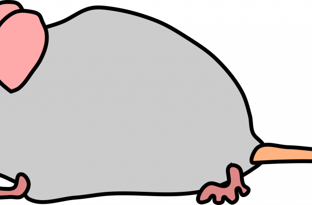 Maus Clipart Clipart Collection Funny Cartoon Mouse - Maus Clipart (640x420)