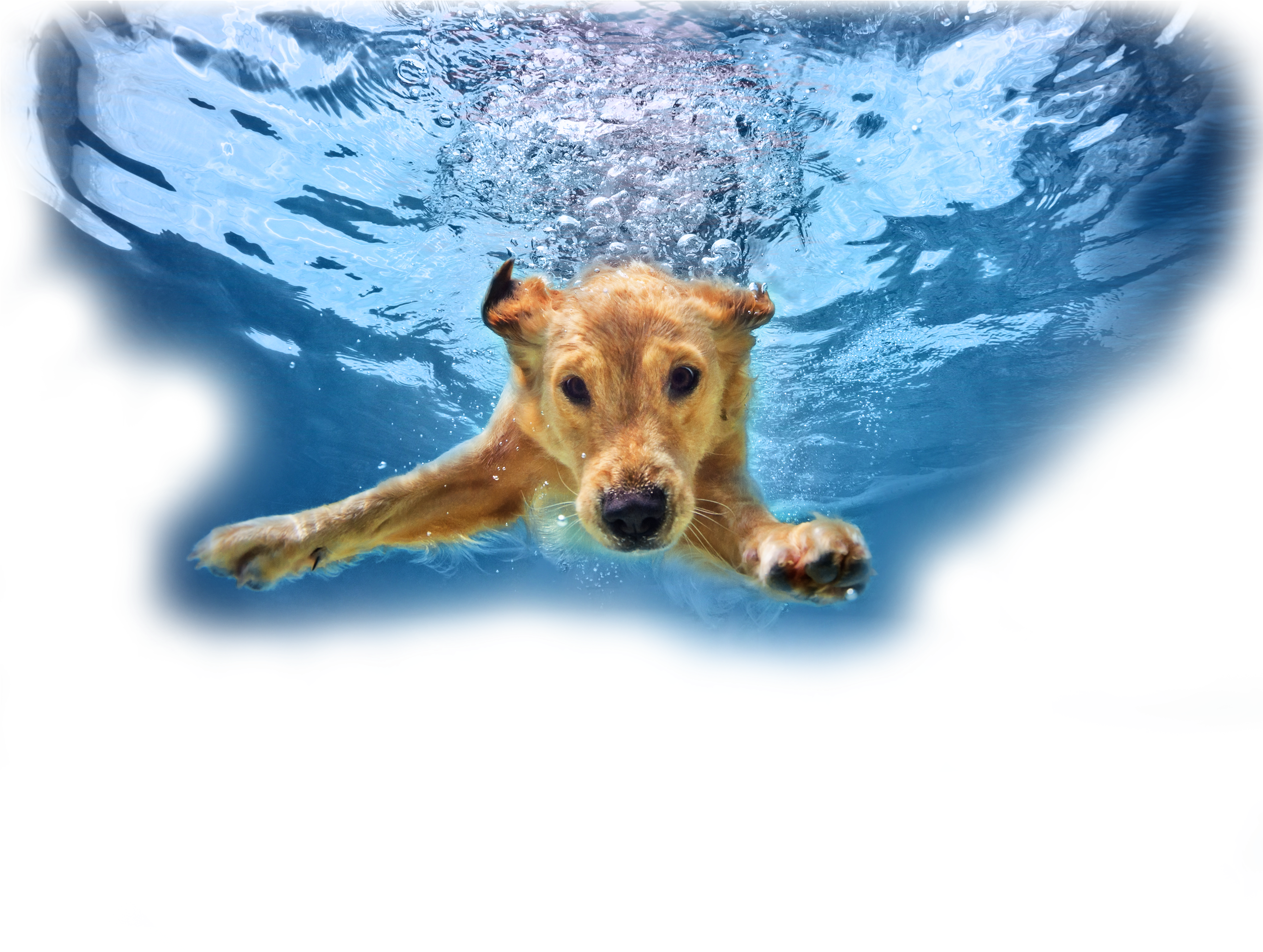 Air Same Day Replacement With Ac Unit Repair Near Me - Super Cute Cute Pets (2700x2400)