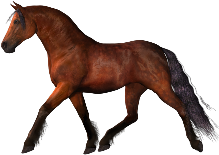 Horse 03 By Darklingstock - Sorrel (900x750)