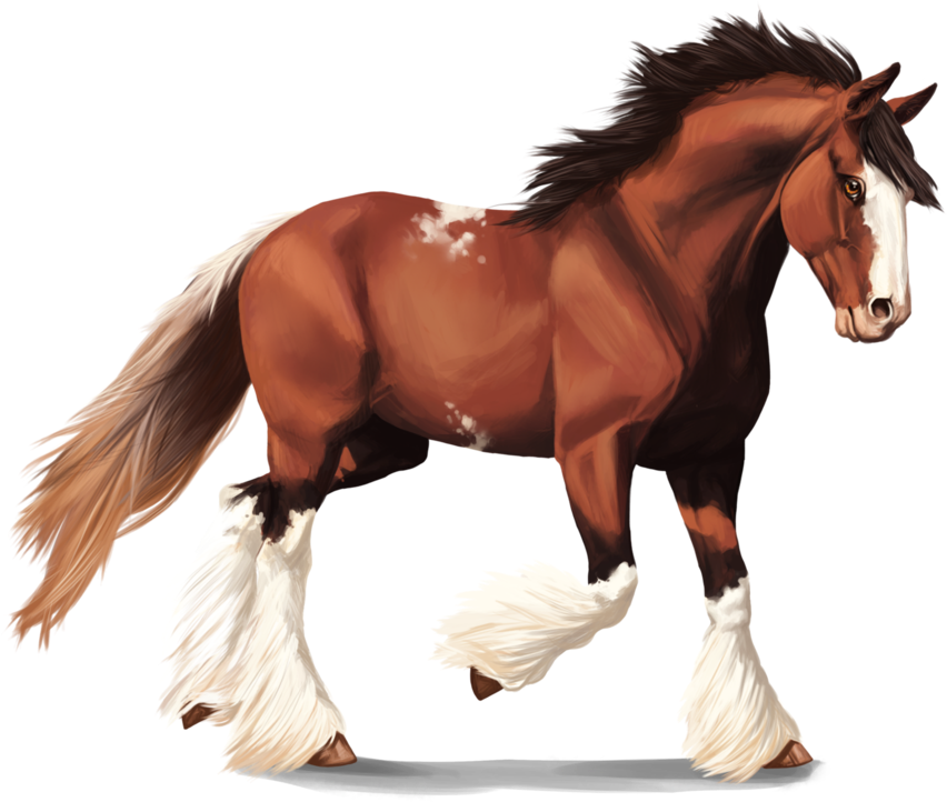 Clydesdale Horse By Memuii - Animal Jam Clydesdale Horses (894x894)