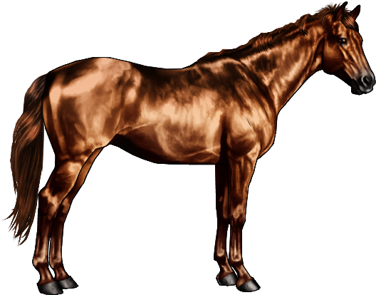 Horse Black And White Old (600x500)