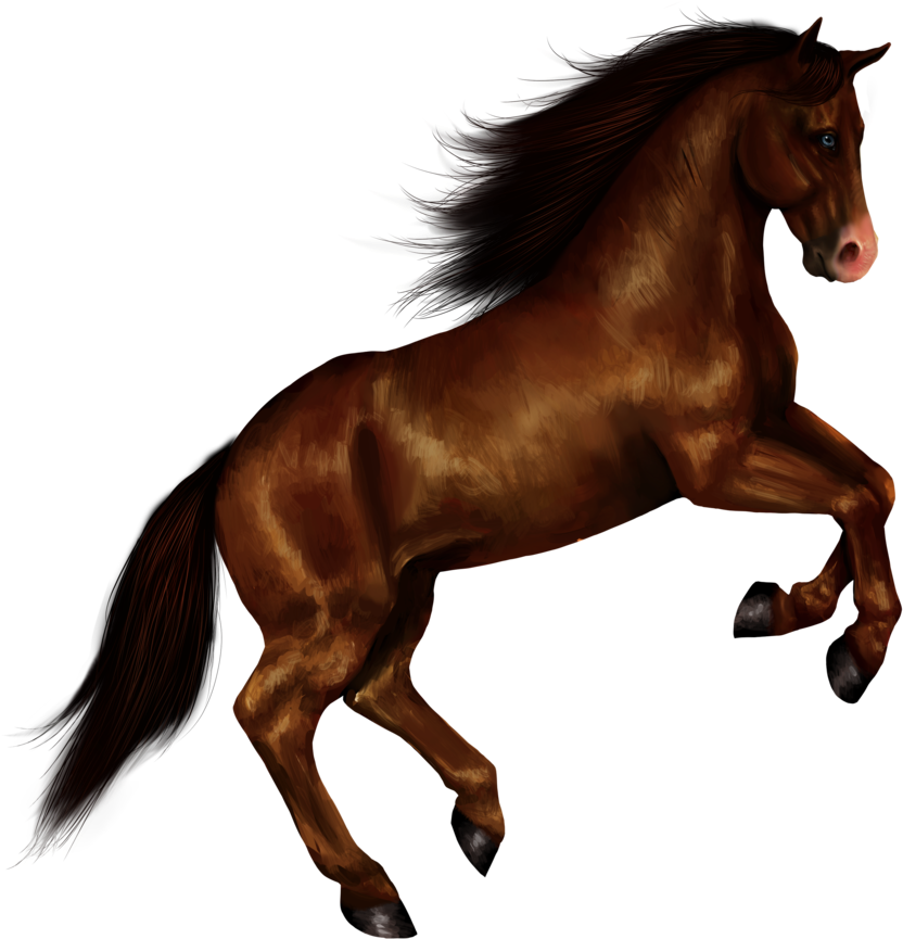 Horse Png - Horse Transparent Background (900x900)