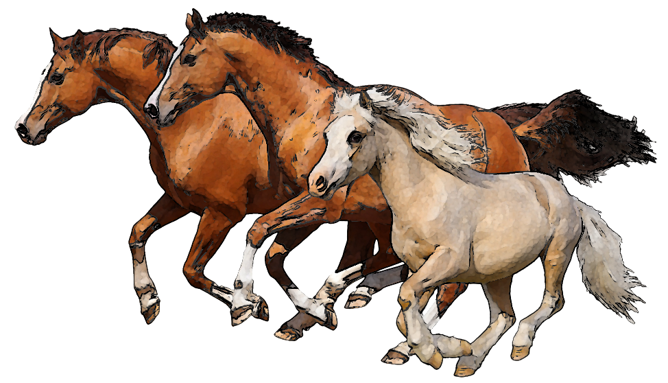 Download Png Image Report - Group Of Horses Clipart (974x558)