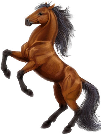 Bay - Horse Necklace Circle Charm (360x488)