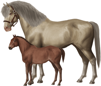 Breed Horses And Create Your Very Own Stable Of Champions - Horse World (500x438)