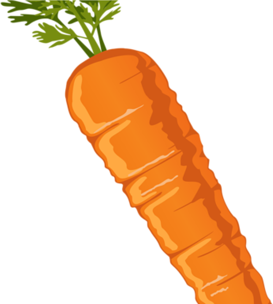 Carrot Clipart Carrot Clipart Png Image Graphics Pinterest - Carrot Clipart Transparent Background (1024x1024)