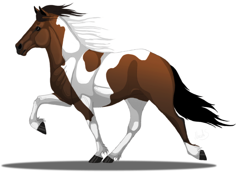 Drawn Horse Deviantart - Draw A Icelandic Horse (900x600)