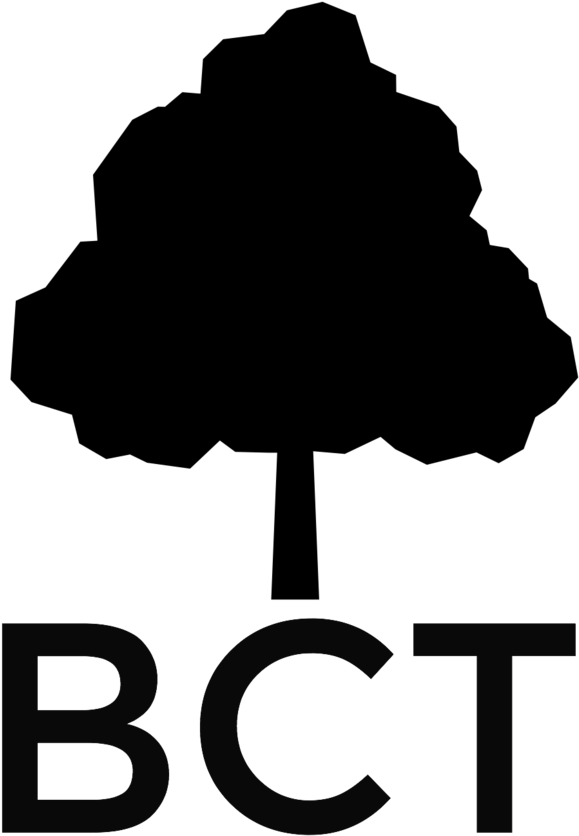 Hiking Experiences Are Varied And The Trails Are Always - White Pine (1000x1289)