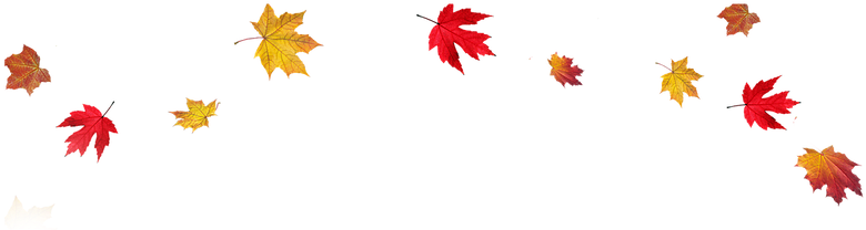 Fall Leaves Border Png (796x380)