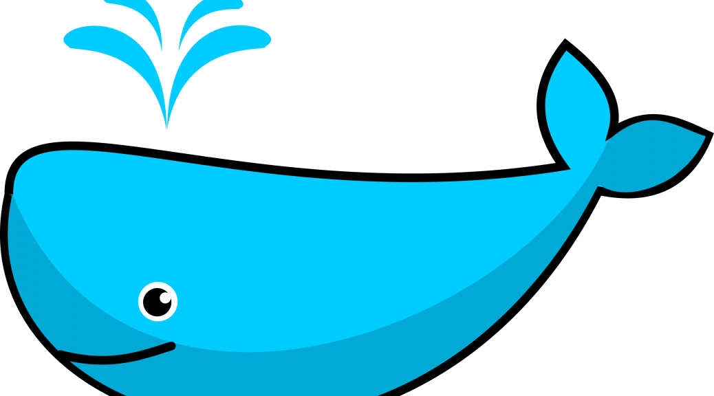 Drawing Of A Whale - Whale Clipart (1038x576)