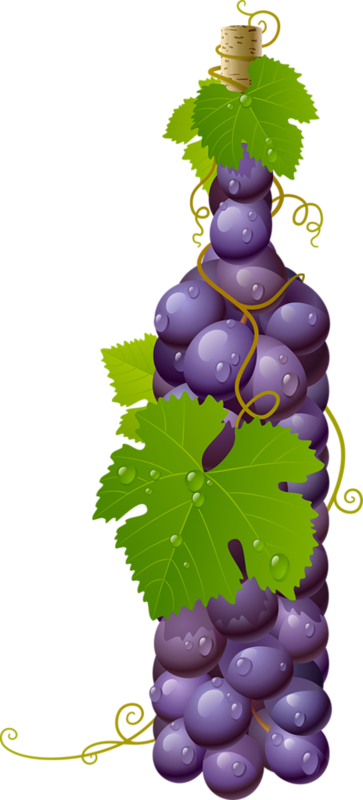 Grape Wine Bottle - Grapes In A Bottle (363x800)