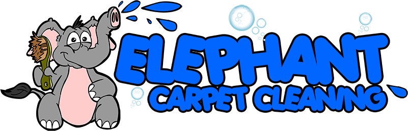 Logo - Carpet Cleaning (801x258)