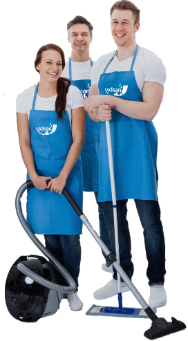 Domestic Cleaning Services - Cleaning Staff (272x493)