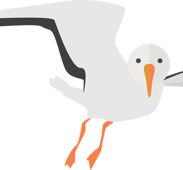 Seagull-600x556 - Clip Art (600x556)