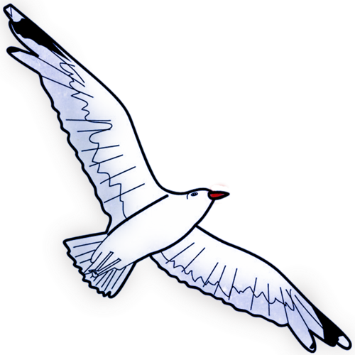 Seagulls - Seagull Clipart (500x500)