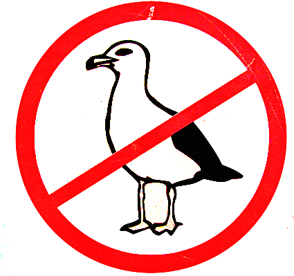 I Have Discovered That Birds Of Prey Have Been Called - Finger Driver (447x411)