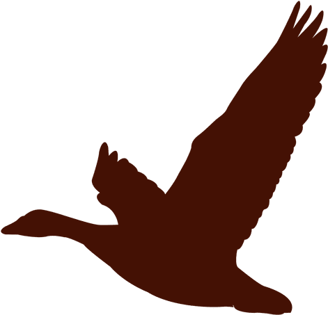 Bird Goose Flying Silhouette - Fly Duck Silhouette (512x512)