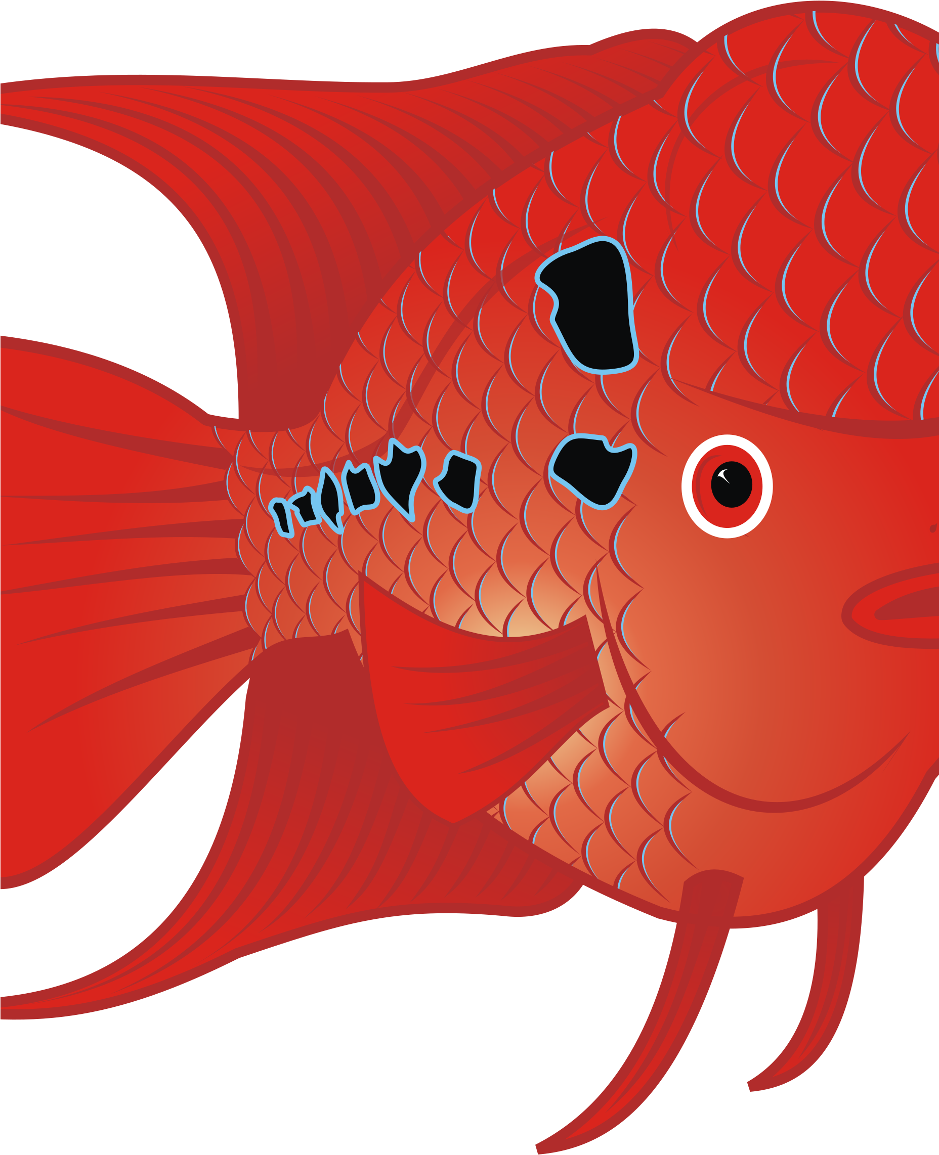 Big Image - Fish Clip Art (1855x2400)