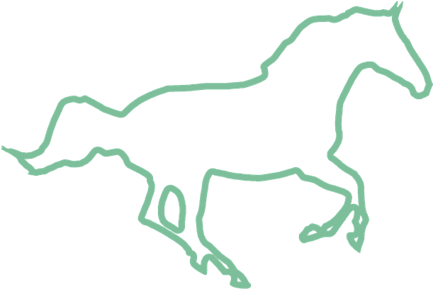 Competition Groom / Assistance - Mane (640x457)